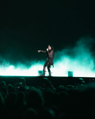 Keywords: amy lee,amy photos,concert,evanescence,Australia