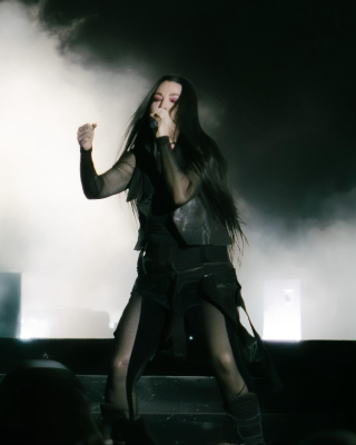 Keywords: amy lee,amy photos,concert,evanescence,Australia