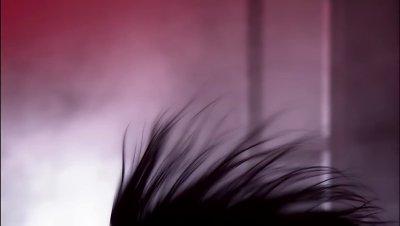 amyleefans12421.png