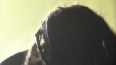 amyleefans28351.png