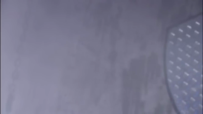 amyleefans28891.png