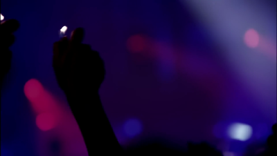amyleefans30391.png