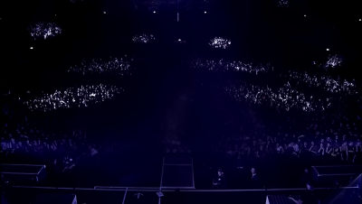 amyleefans51781.png