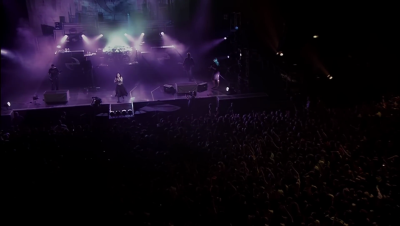 amyleefans53761.png