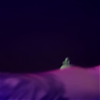 amyleefans20671.png