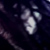 amyleefans27571.png