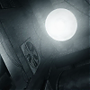 amyleefans05821.png