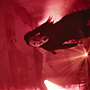 amyleefans03811.png