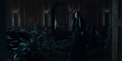amyleefans00796.png