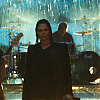 amyleefans05026.png