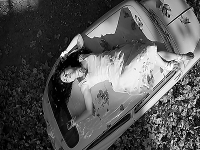 amyleefans01561.png