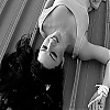 amyleefans04381.png