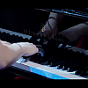 amyleefans02941.png