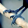 scene03201.jpg