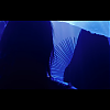 amyleefans04681.png